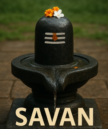 सावन के महीने में क्या नहीं करना चाहिए